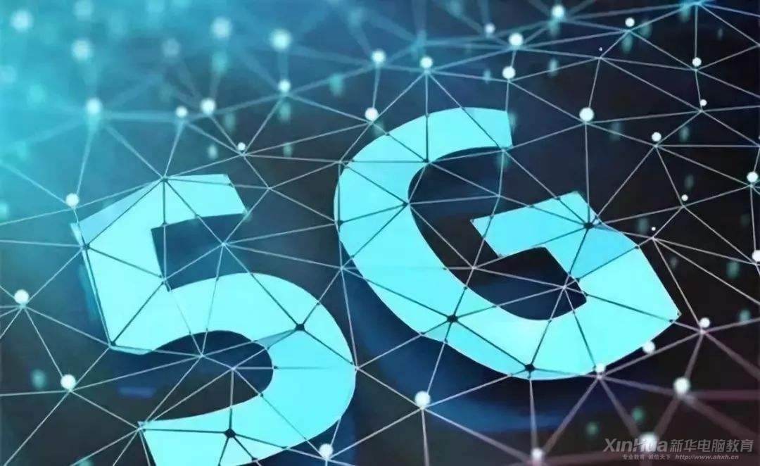 AI(y)f(shu)5G(lin)W(wng)r(sh)L(fng)µǰИI(y)